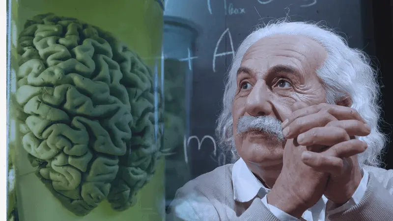 Neuro Energizer Banner Image